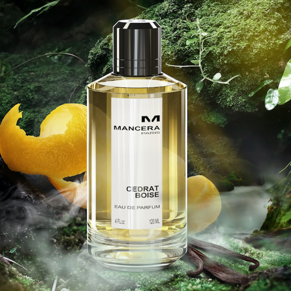 Pulse of Perfumery