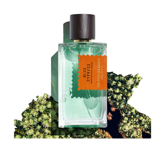 BLUE CYPRESS Perfume Concentrate 100ml