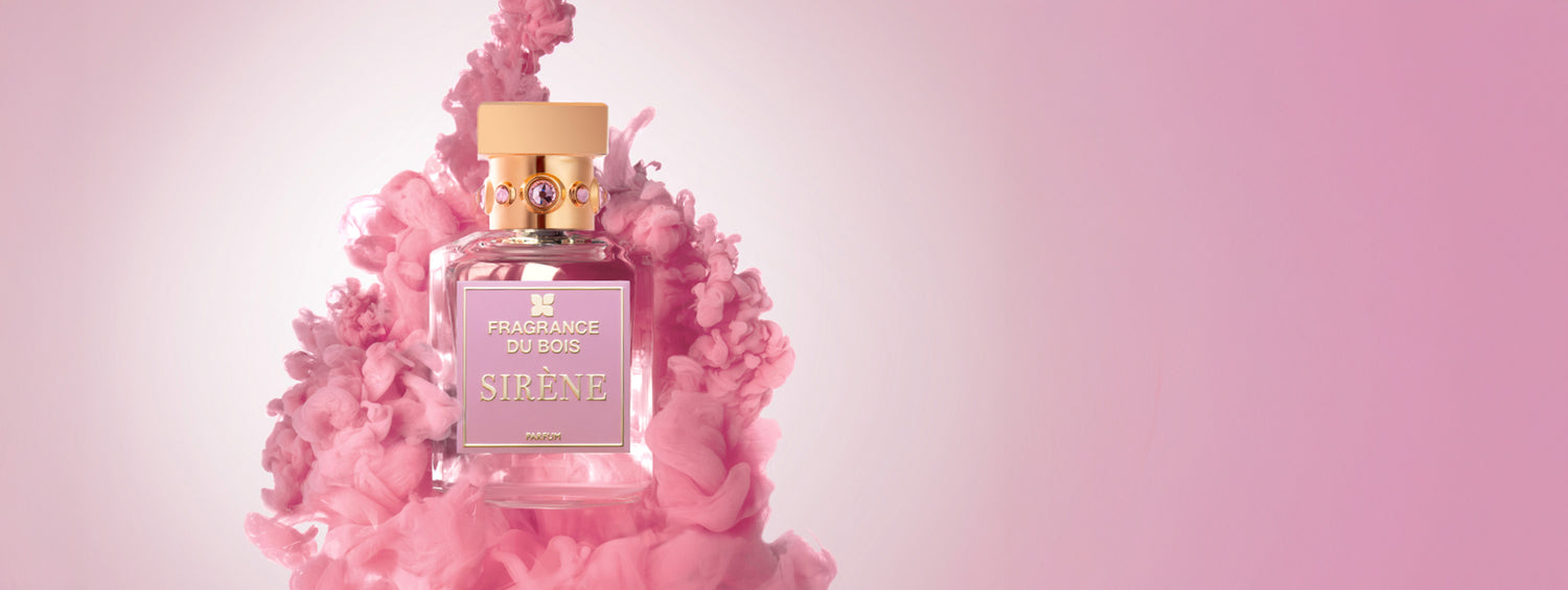 Pulse of Perfumery