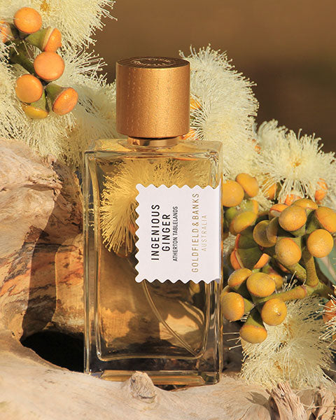Pulse of Perfumery