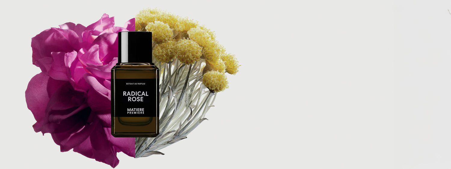 Pulse of Perfumery