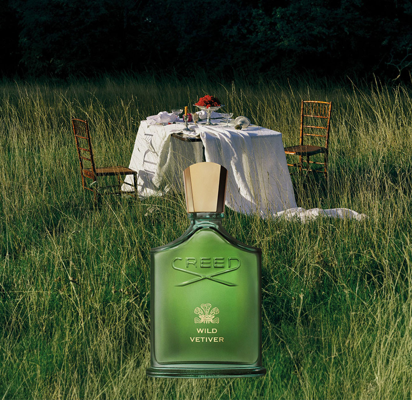 Wild Vetiver 100ml – Pulse of Perfumery