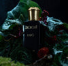 Ligno Ext 100ml