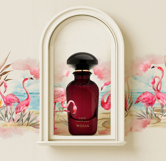 Widian Yasat Ext 50ml